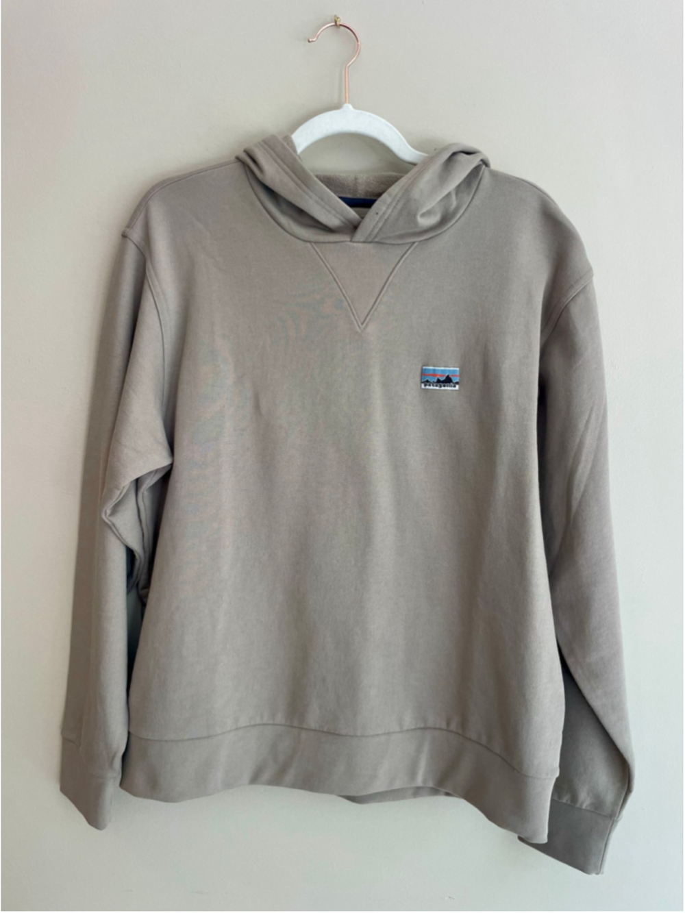 Patagonia Daily Hoody Sweatshirt Small Seabird Grey Organic Cotton Pullover NWT